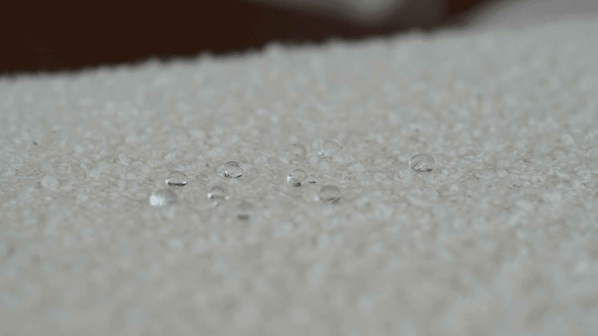 Serviços oferecidos pela Impec Clean